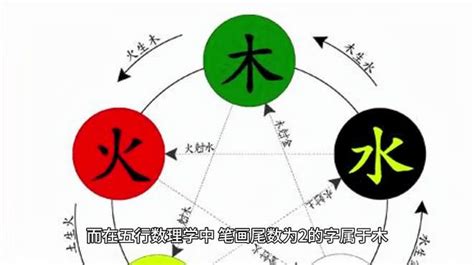 博 五行|博字五行属什么